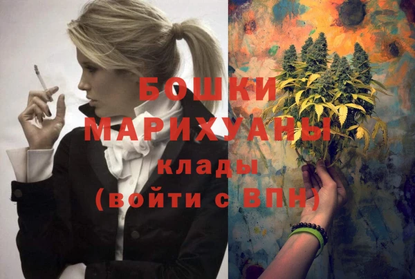 мдпв Зеленодольск