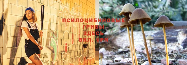 дурь Зеленокумск