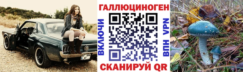 что такое   Исилькуль  Псилоцибиновые грибы GOLDEN TEACHER 