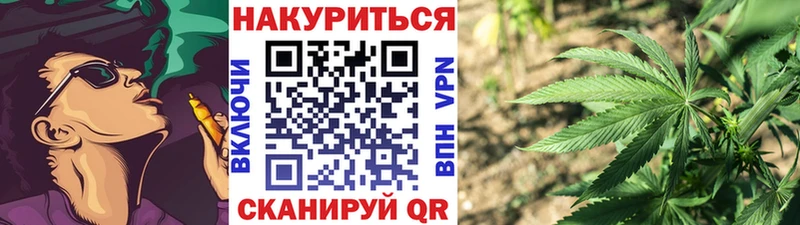 МАРИХУАНА сатива  Исилькуль 